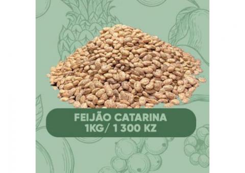 Vendo! Feijão Catarina