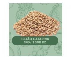 Vendo! Feijão Catarina