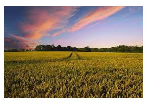 Venda de 100Hectares por 10 milhões de Kwanza