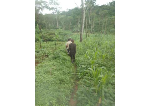 TERRENO A VENDA PARA AGRICULTURA