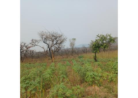 Venda de Lotes de terras ou Parceria