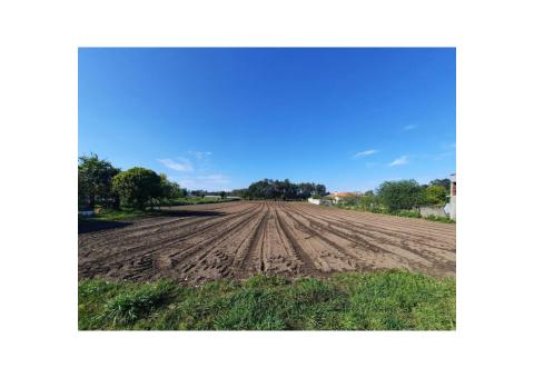 Vendo Terreno 3 hectares