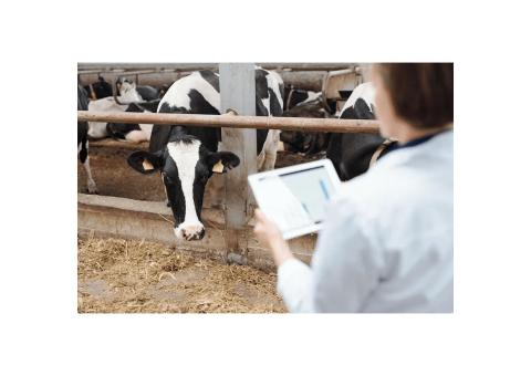 Consultoria Agropecuária