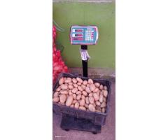 Batata rena do lubango