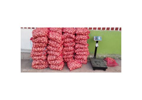 Batata rena do lubango
