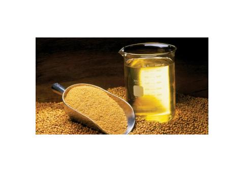 Soja Produção de Óleo vegetal