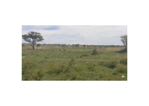 Investimento de elite Fazenda Kamunano