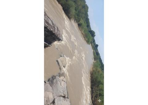 Investimento de elite Fazenda Kamunano