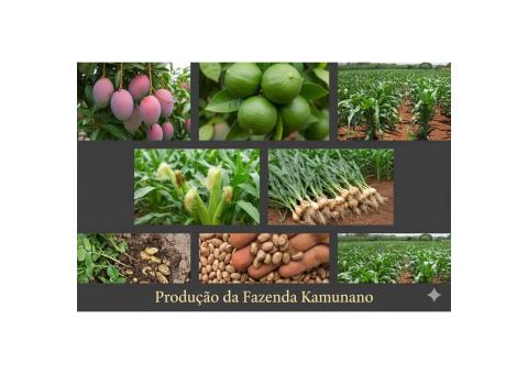 Investimento de elite Fazenda Kamunano