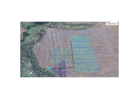 LENISA Estudo e Implementação de Sistemas de Rega GotaaGota e Fertirrigação