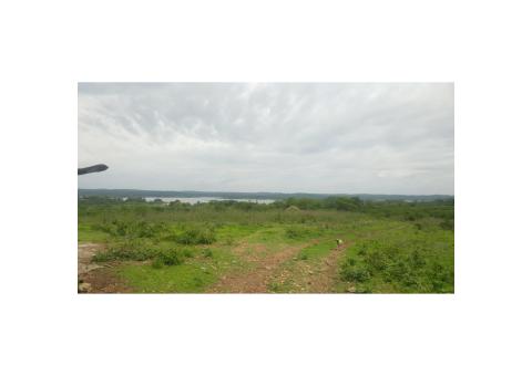 15 Hectares Quiminha