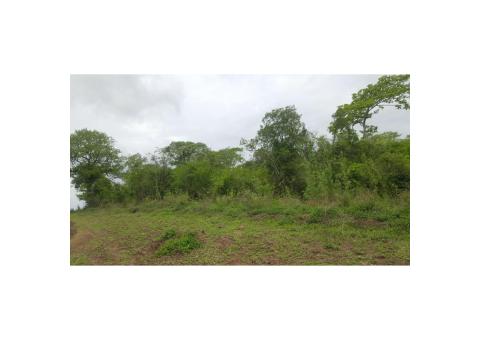 15 Hectares Quiminha