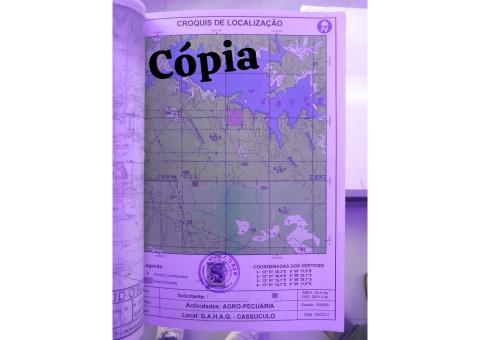 15 Hectares Quiminha