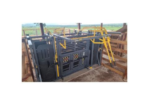 Tronco Contenção Balança Eletrônica