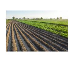 Venda de Terras Agrícolas