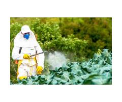 Pesticidas
