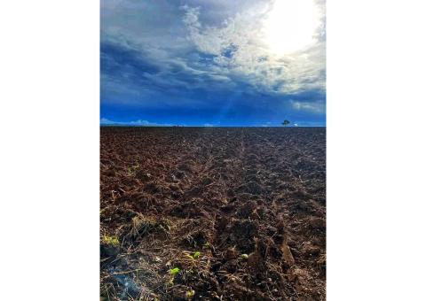 Terreno Agrícola de 1000 hectares no kwanza norte