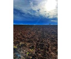 Terreno Agrícola de 1000 hectares no kwanza norte