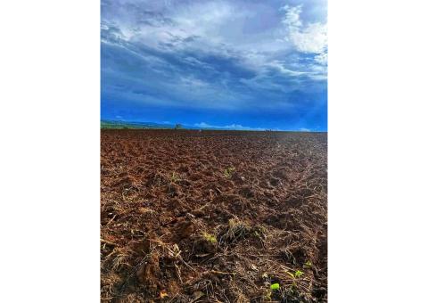Terreno Agrícola de 1000 hectares no kwanza norte