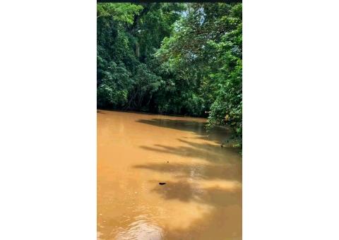 Terreno Agrícola de 1000 hectares no kwanza norte