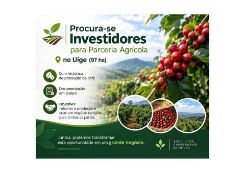 Procurase Investidores para Parceria Agrícola no Uíge 97 ha