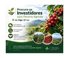 Procurase Investidores para Parceria Agrícola no Uíge 97 ha